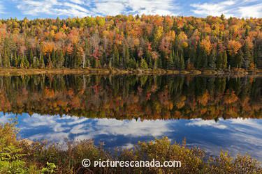 mauricie-014